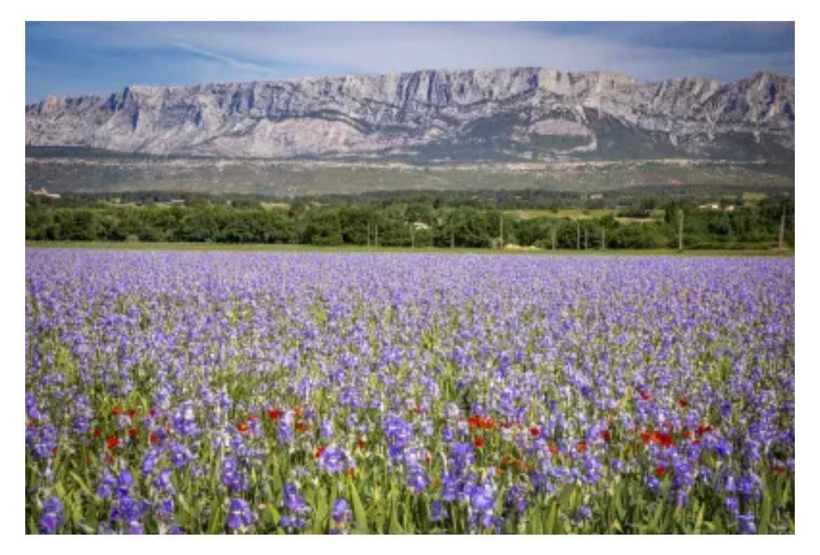 Aix-En-Provence, Cosy Studio Proche Toutes Commodites, Linges Fournis Aix-en-Provence Exterior foto
